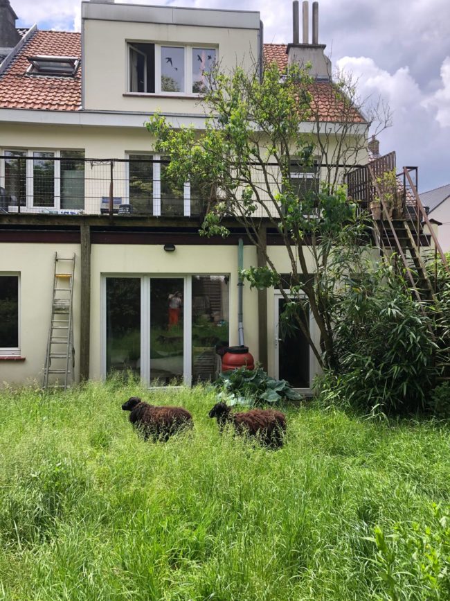 RESIDENCE EN CO-HOUSING // 2 CHAMBRES AVEC ATELIER PARTAGE + JARDIN A LOUER