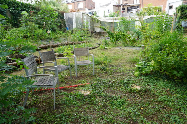 Grande Collocation sur Namur – appartement 2 chambres, terrasse plein sud et accès à un jardin forêt nourricier