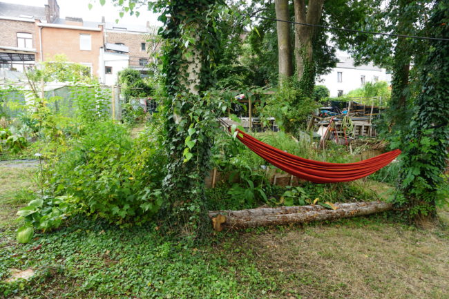 Grande Collocation sur Namur – appartement 2 chambres, terrasse plein sud et accès à un jardin forêt nourricier